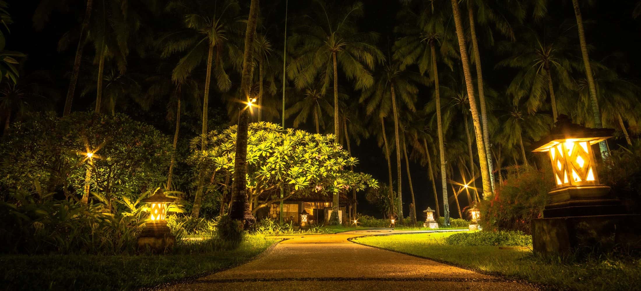 Palm-lined garden path lit with warm ground lighting at night